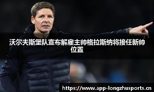 龙珠体育官网