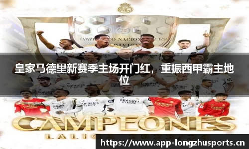 龙珠体育官网