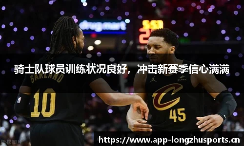 龙珠体育官网