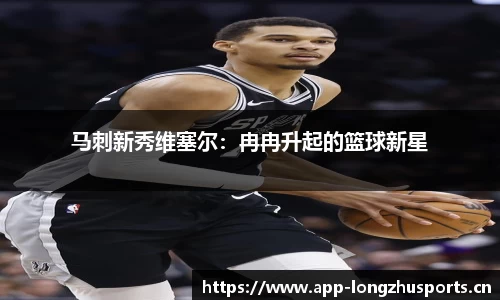 龙珠体育