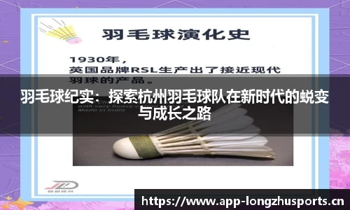龙珠体育平台