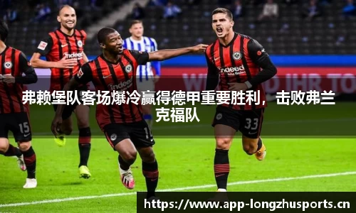 龙珠体育