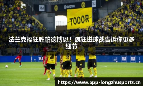 龙珠体育官网