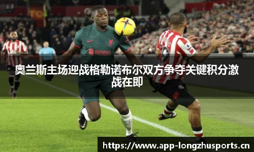 龙珠体育
