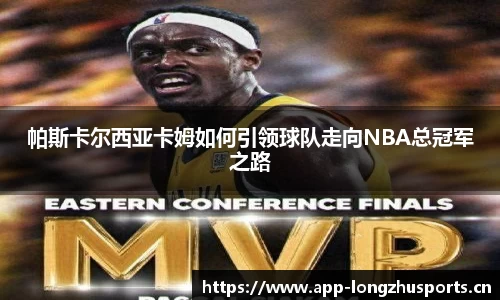 龙珠体育