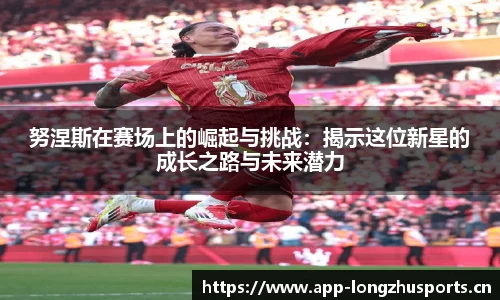 龙珠体育官网
