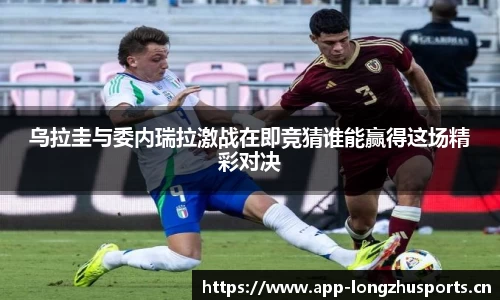 龙珠体育官方网站
