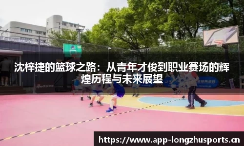 龙珠体育