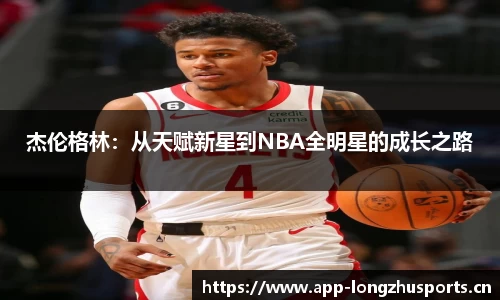 龙珠体育官网