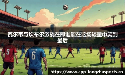 龙珠体育