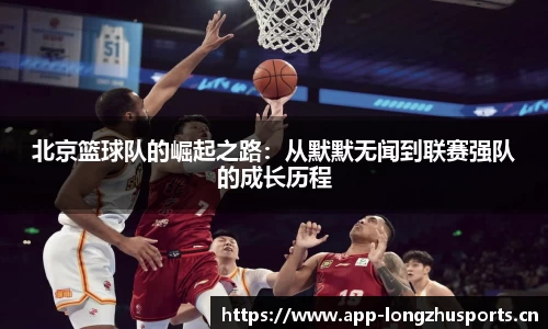 龙珠体育