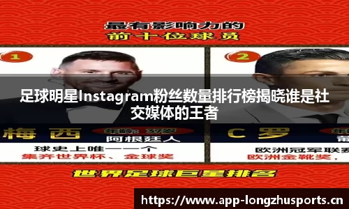 龙珠体育