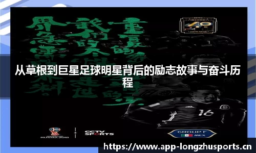 龙珠体育平台
