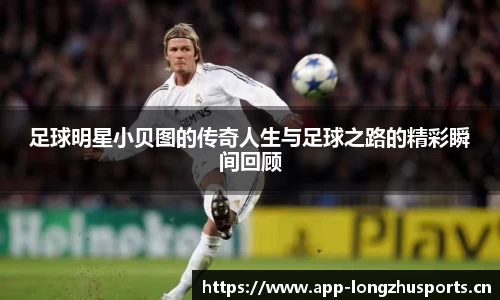龙珠体育官方网站