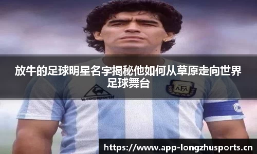 龙珠体育